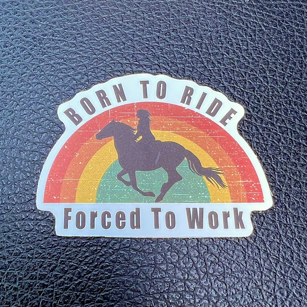 BORN to RIDE Equestrian Horse Girl Boy Cowboy CowGirl Single Waterproof Sticker